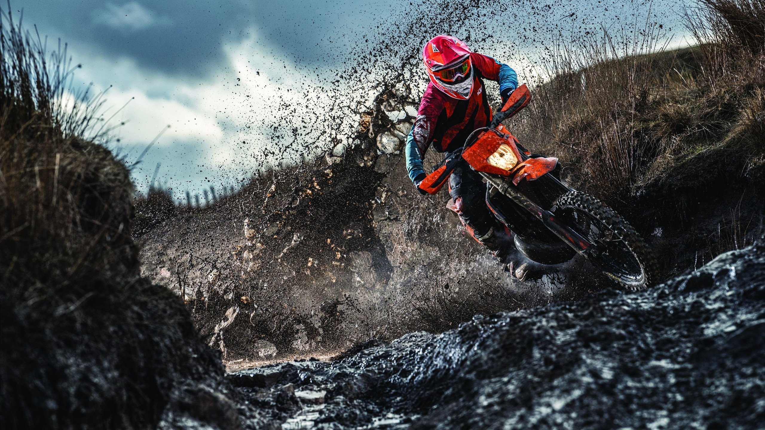 BLG黑马之姿突破所有预测,黑马之路