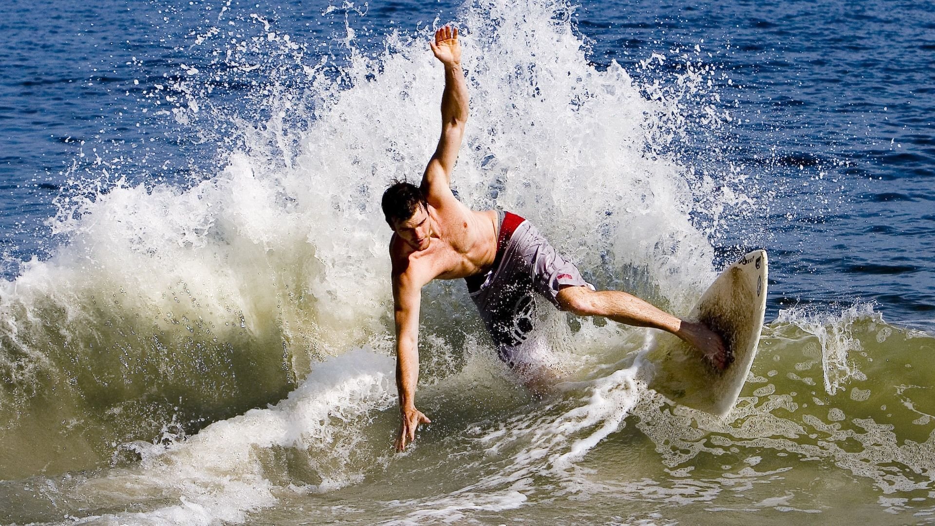 BronMuse对比拉拉维亚&芬尼-史密斯并发问:谁更香?